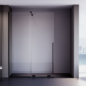 Душевая дверь Veconi Premium Trento PTDW-50B, 1300x2000, черный матовый, стекло прозрачное Ника
